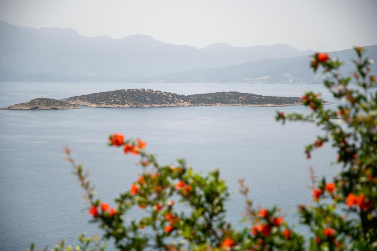 Miracle View Villas Ágios Nikólaos Exteriér fotografie
