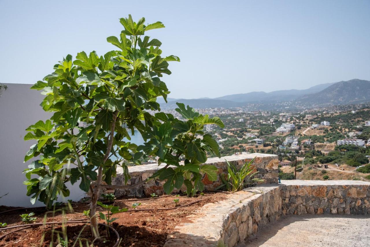 Miracle View Villas Ágios Nikólaos Exteriér fotografie